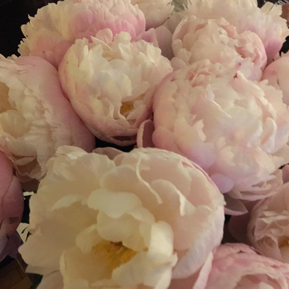 Meet your Posher, Nancy